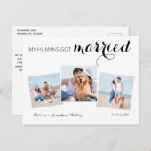 Moderne fotocollage Dog Wedding Elopement Aankondigingskaart (Voorkant / Achterkant)