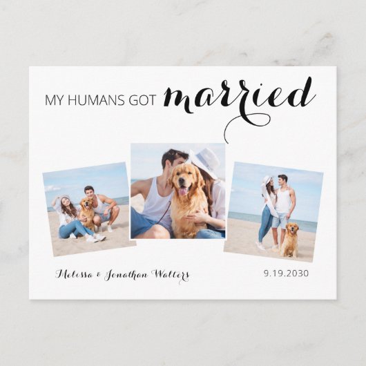 Moderne fotocollage Dog Wedding Elopement Aankondigingskaart (Voorkant)