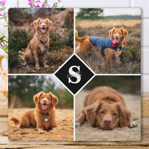 Moderne Fotocollage Persoonlijk Monogram Huisdier  Fotoplaat