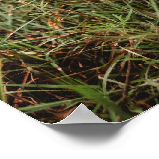 Moderne fotocollage van 2 families | Eigen ontwerp Poster (Hoek)