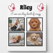 Moderne fotocollage voor honden van 4 honden fotoplaat (Voorkant)