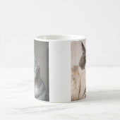 Moderne fotogalerij voor katten koffiemok (Center)