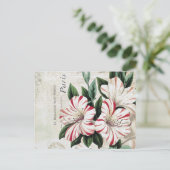 moderne franse amarylis briefkaart (Staand voorkant)