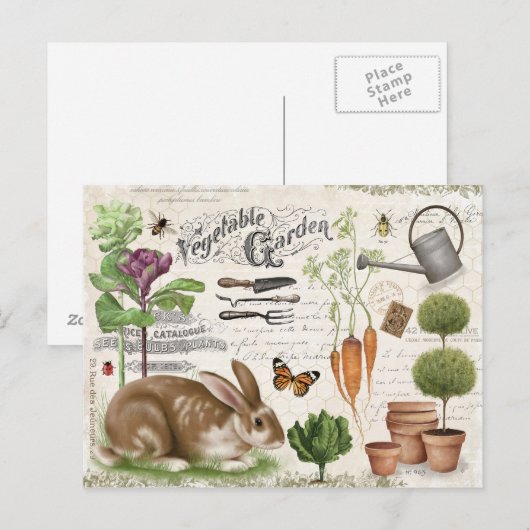 Moderne Franse boerderij Garden Rabbit Briefkaart (Voorkant / Achterkant)
