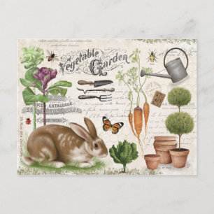 Moderne  Franse boerderij Garden Rabbit Briefkaart