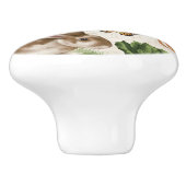 Moderne  Franse boerderij Garden Rabbit Keramische Knop (Zijkant)