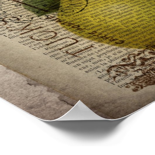 moderne , franse botanische printvruchtenperen poster (Hoek)