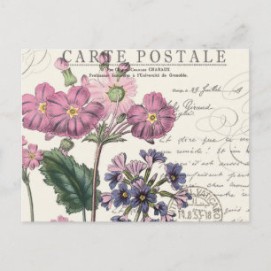 moderne  franse flora briefkaart