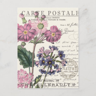 moderne  franse flora briefkaart