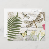 moderne  franse libellen briefkaart (Voorkant / Achterkant)