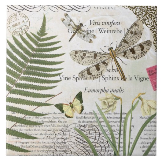 moderne franse libellen tegeltje (Voorkant)