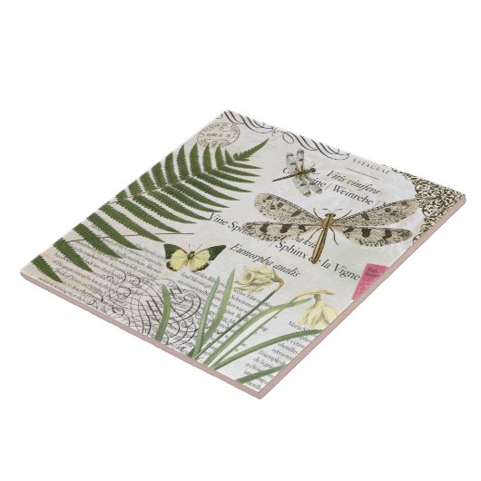 moderne  franse libellen tegeltje (Zijkant)