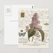 moderne  Franse Lilacs Briefkaart (Voorkant / Achterkant)