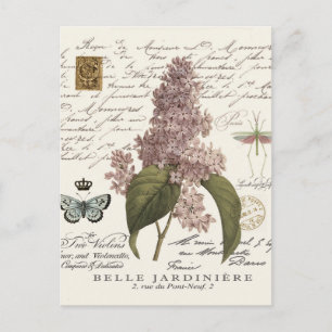 moderne  Franse Lilacs Briefkaart