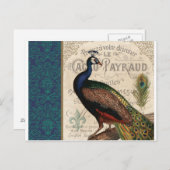 moderne  franse pauw briefkaart (Voorkant / Achterkant)