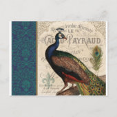 moderne  franse pauw briefkaart (Voorkant)