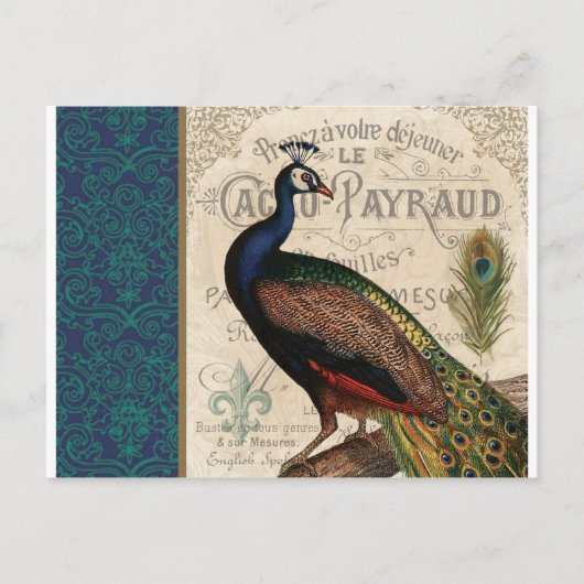 moderne  franse pauw briefkaart (Voorkant)