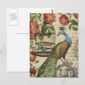 moderne  franse pauw briefkaart (Voorkant / Achterkant)