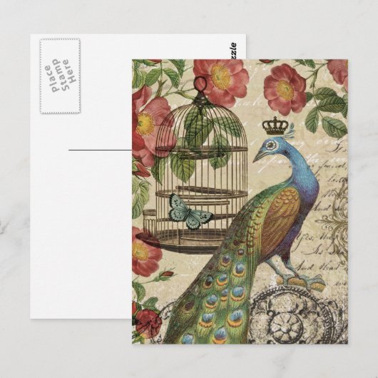 moderne  franse pauw briefkaart (Voorkant / Achterkant)