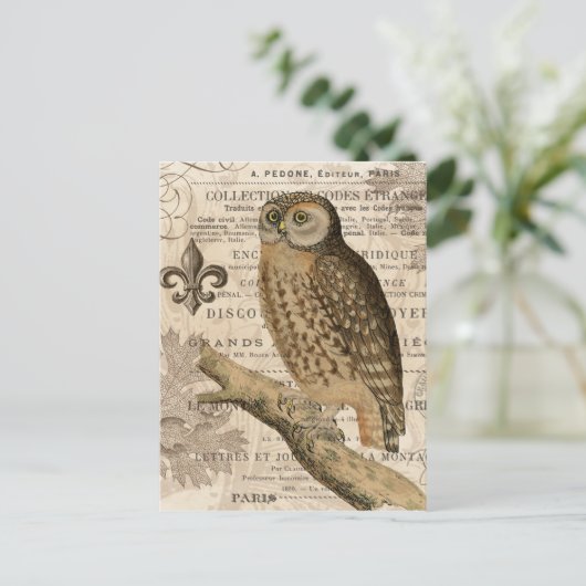moderne franse uil briefkaart (Staand voorkant)