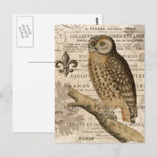 moderne  franse uil briefkaart (Voorkant / Achterkant)