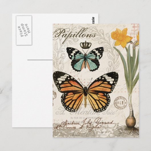 Moderne  franse vlinder briefkaart (Voorkant / Achterkant)