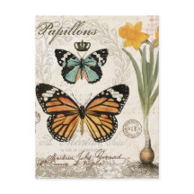 Moderne  franse vlinder