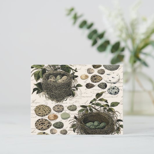 Moderne  Franse vogelnesten en eitjes Briefkaart (Staand voorkant)