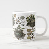 Moderne  Franse vogelnesten en eitjes Grote Koffiekop (Rechts)