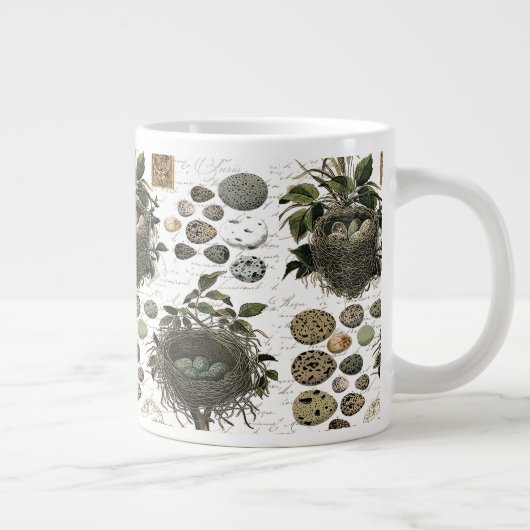 Moderne  Franse vogelnesten en eitjes Grote Koffiekop (Rechts)