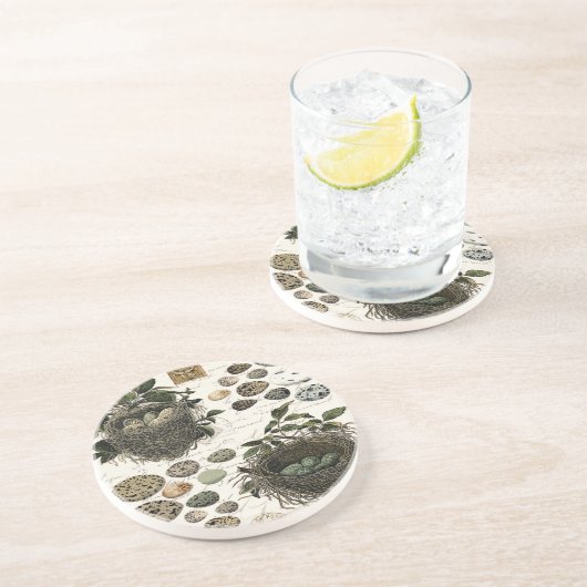 Moderne  Franse vogelnesten en eitjes Zandsteen Onderzetter (Zijkant)