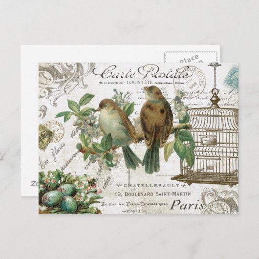 Moderne  Franse vogels en vogelkooien Briefkaart (Voorkant / Achterkant)