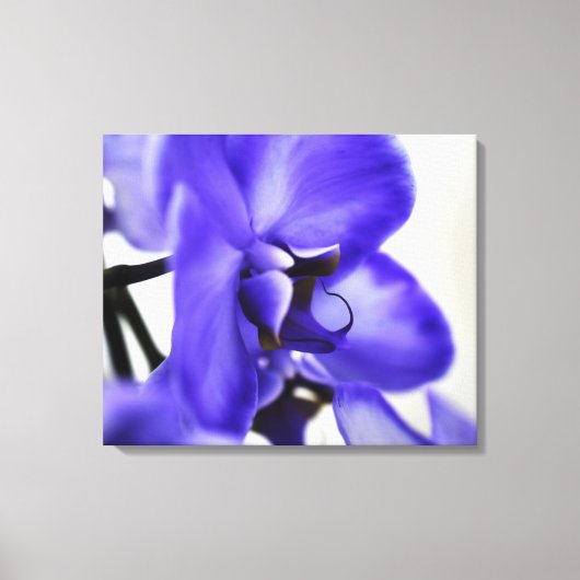 Moderne Galerij Canvas – Elegante Kunst Afdruk (Voorkant)