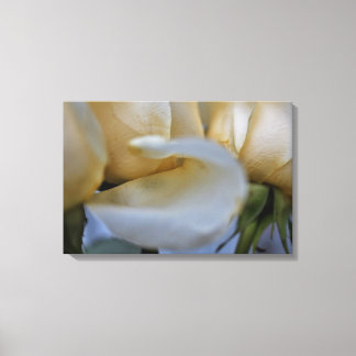 Moderne Galerij Canvas – Elegante Kunst voor Elke Afdruk