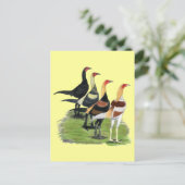 Moderne Game Hanen Briefkaart (Staand voorkant)