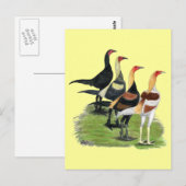 Moderne Game Hanen Briefkaart (Voorkant / Achterkant)