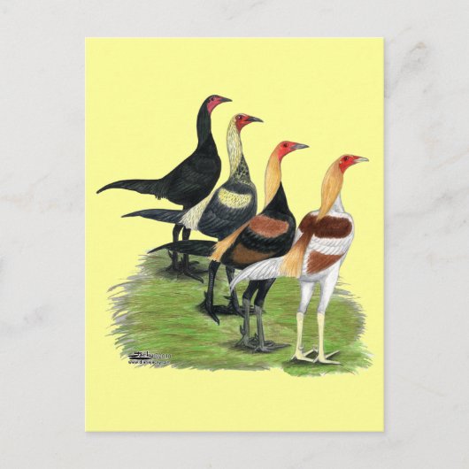 Moderne Game Hanen Briefkaart (Voorkant)
