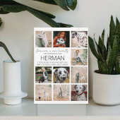 Moderne gedenkfoto-collageplaquette voor huisdiere fotoplaat