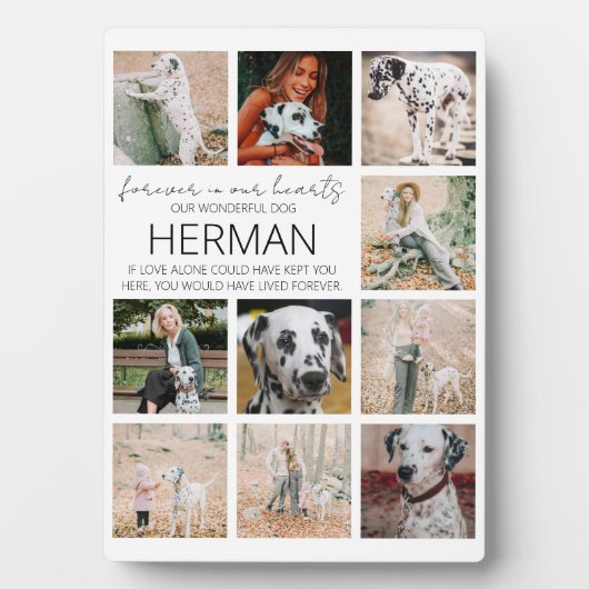 Moderne gedenkfoto-collageplaquette voor huisdiere fotoplaat (voorkant)