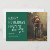 Moderne Gelukkige Howlidays Huisdier Kerstkaart (Voorkant)