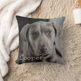 Moderne Gepersonaliseerde Hond 2 Foto Kussen
