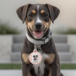 Moderne Gepersonaliseerde Honden Valentijns Pet Ta Huisdierpenning