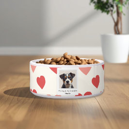 Moderne Gepersonaliseerde Honden Valentijnsdag Hui Voerbakje