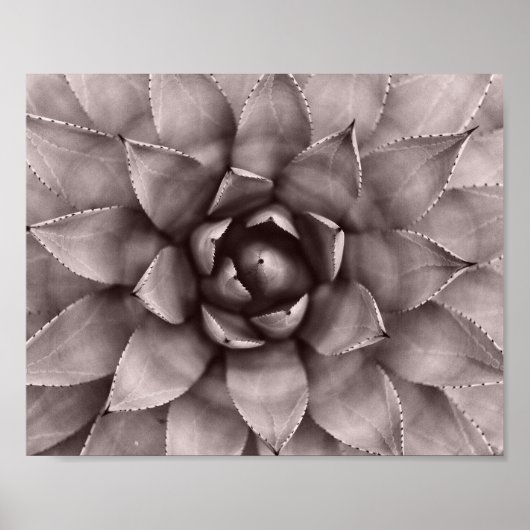 Moderne, geslaagde afdrukken poster (Voorkant)