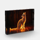 Moderne gloed tabby kat blauwe ogen fantasie kunst fotoblokken (Links)
