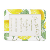 Moderne gouden leemten en afvulmateriaal bespaart magneet (Horizontaal)