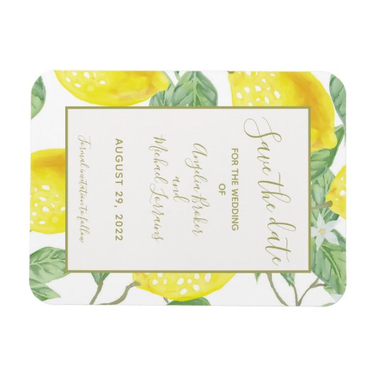 Moderne gouden leemten en afvulmateriaal bespaart  magneet (Horizontaal)