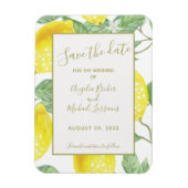 Moderne gouden leemten en afvulmateriaal bespaart  magneet (Verticaal)