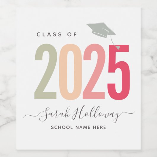 Moderne grafische Afstuderen Blush roze Afstudeerd Wijn Etiket (Enkel label)