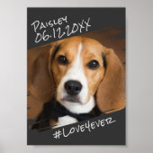 Moderne grafische elegant Simple Black Pet Dog Kee Poster (Voorkant)